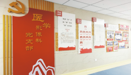 重庆市第七人民医院医学影像科党支部：党建领航铸医魂 影像赋能启新程