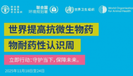 携手应对“耐药”，合理用药正当时——市七院“世界提高抗微生物药物认识周”活动圆满举行